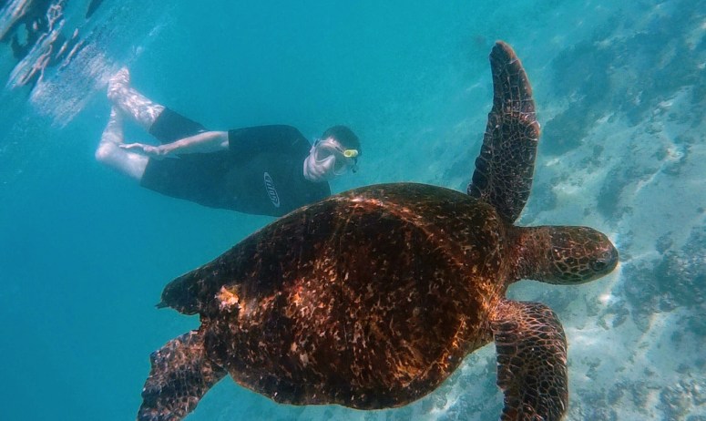 2016_0416_004653_049-498931884-2