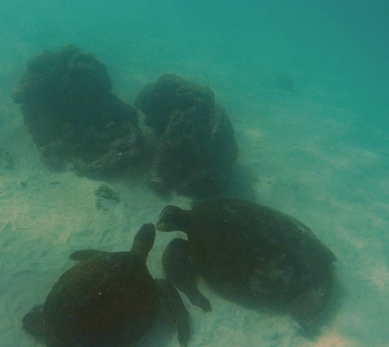 2016_0416_005244_057-22121266383-2