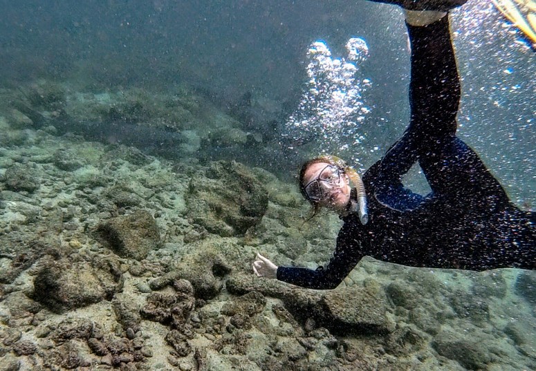 2017_0818_131405_045-910388355-2