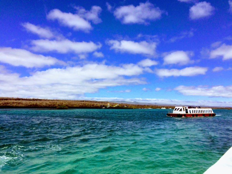 img_3240-1-1639117854-2