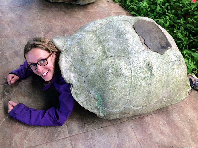 img_33391947027375-2